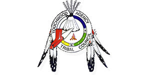 Touchwood Agency Tribal Council