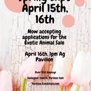 Spring Expo - April 15, 16