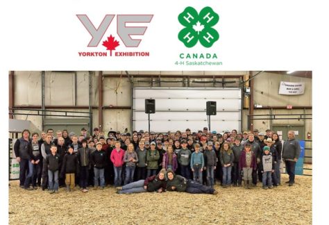 4h picture for website